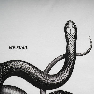 Camiseta suelta de serpiente impresa en 3D para moda callejera en varios tamaños