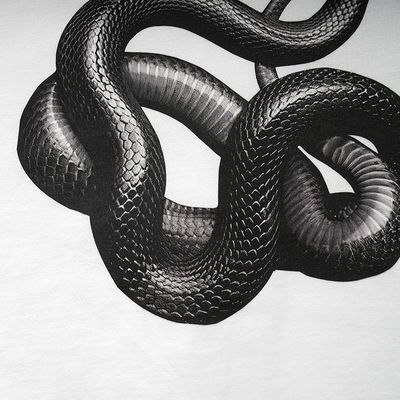 Camiseta suelta de serpiente impresa en 3D para moda callejera en varios tamaños
